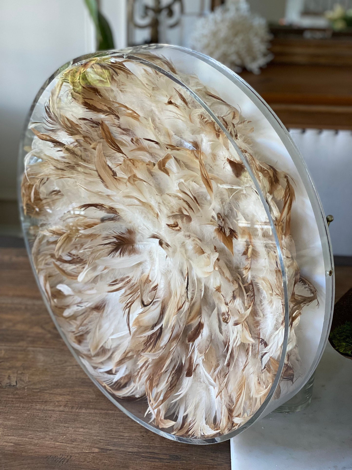 Clear Acrylic Circle Frame: Custom Sizes, Modern Plate with PVC Back