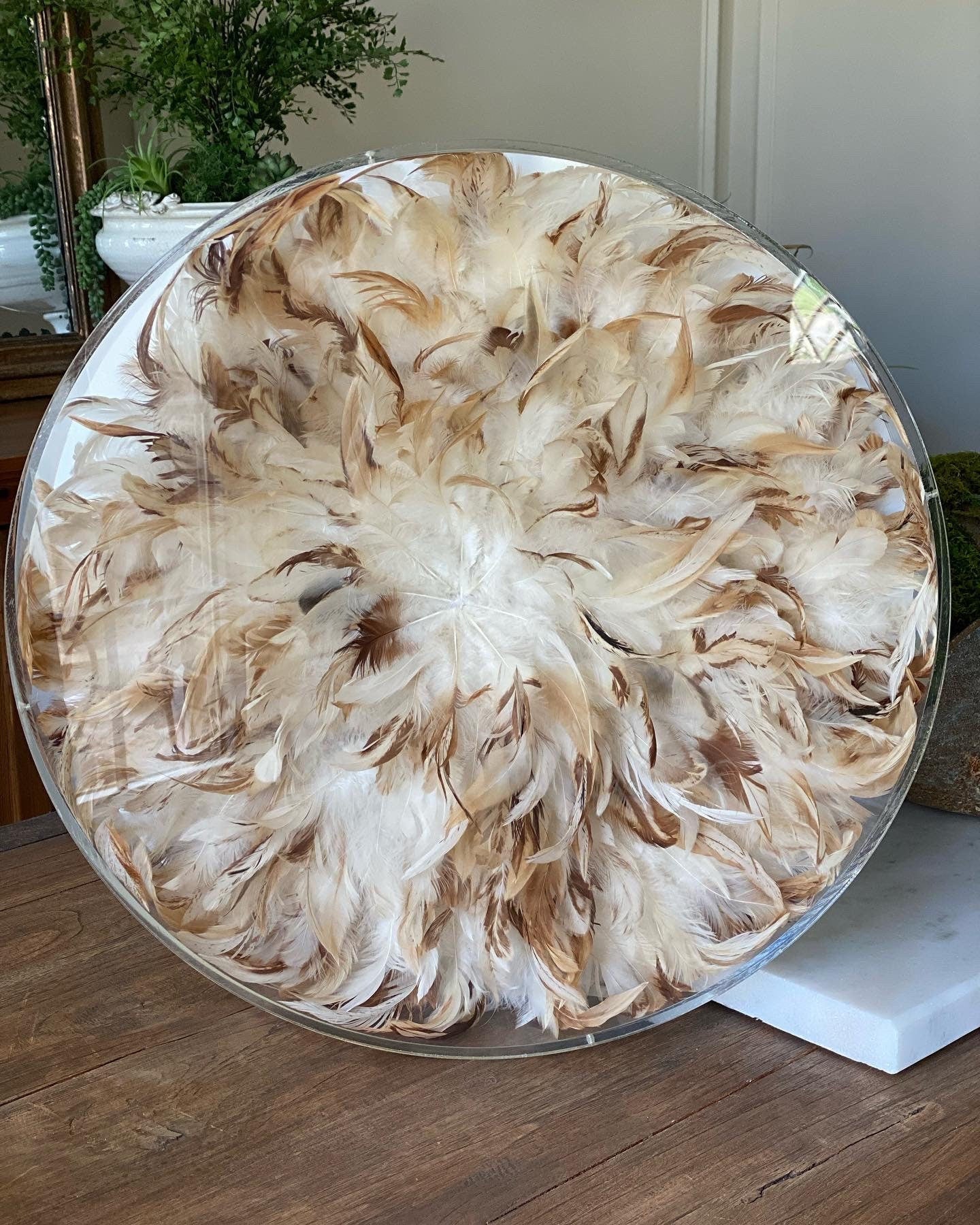 Clear Acrylic Circle Frame: Custom Sizes, Modern Plate with PVC Back