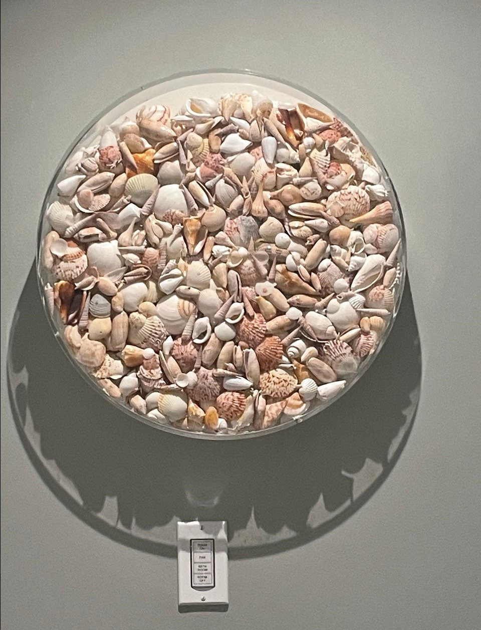 Clear Acrylic Circle Frame: Custom Sizes, Modern Plate with PVC Back